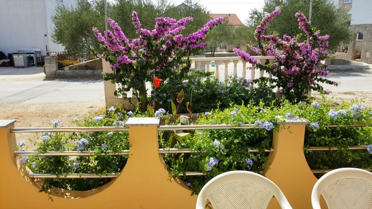 Marina Apartment Biograd Na Moru Exterior foto